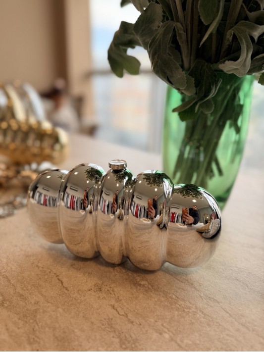 Yatay Gümüş Çanta