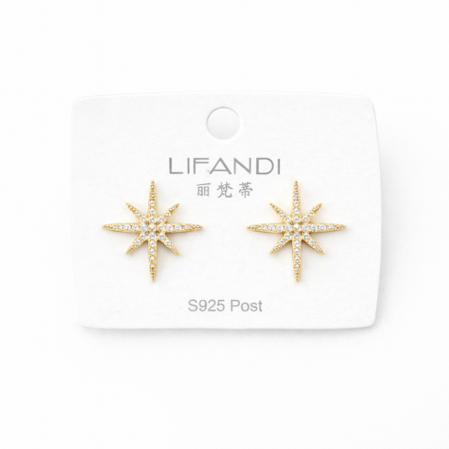 Kuzey Yıldızlı Taşlı Küpe