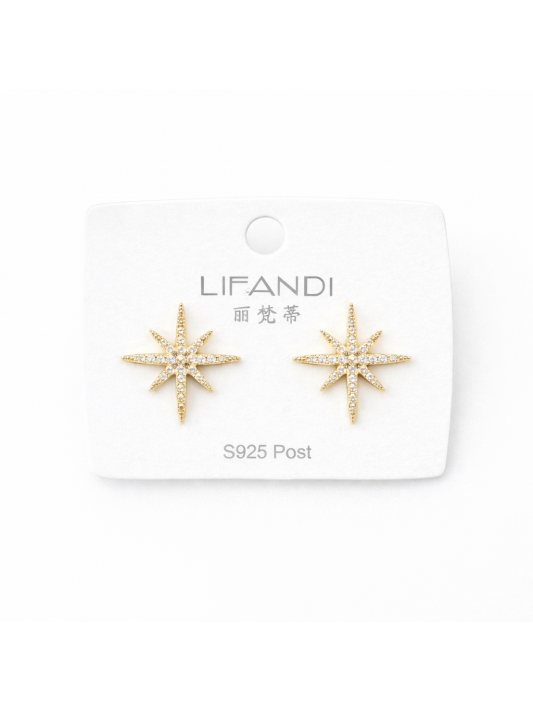 Kuzey Yıldızlı Taşlı Küpe